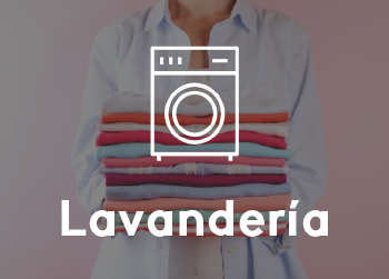 Servicios