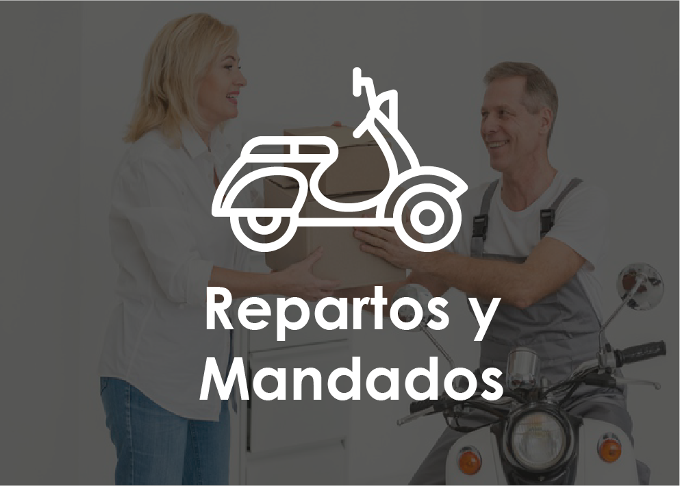 Servicios